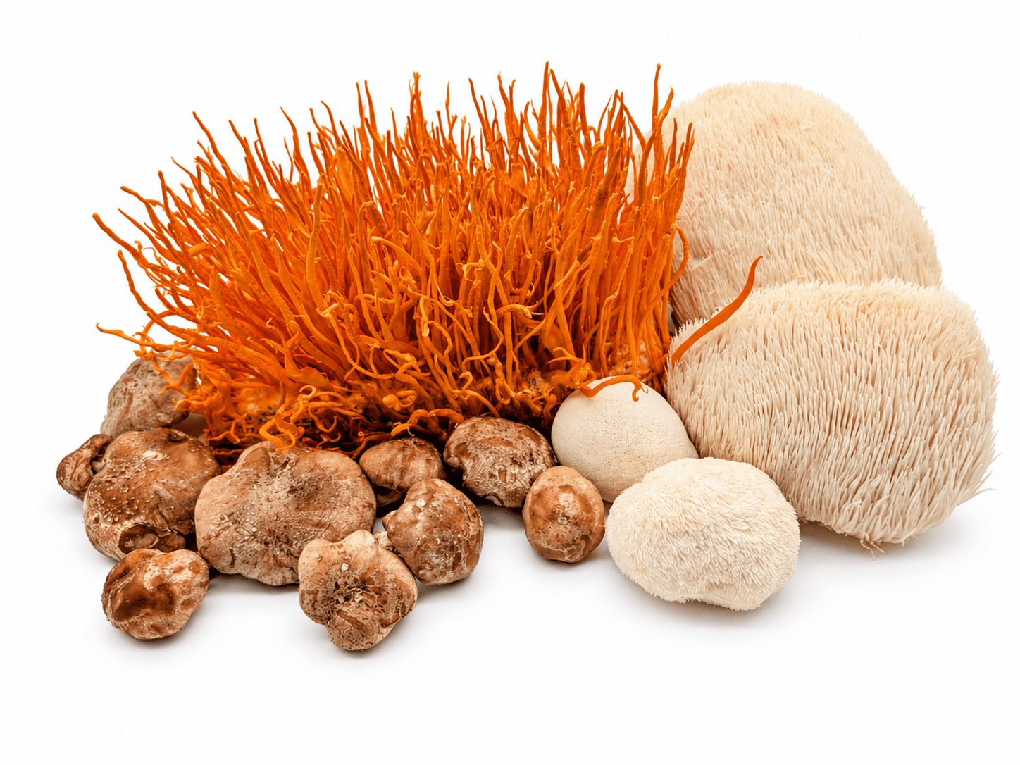 Ginger Bomb Myco Power – zázvorový shot se 70 % šťávy z BIO peruánského zázvoru a houbami Lion’s Mane, Cordyceps a Shiitake